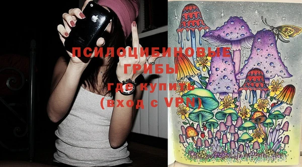 тгк Абдулино