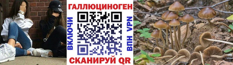 Псилоцибиновые грибы мухоморы Ермолино
